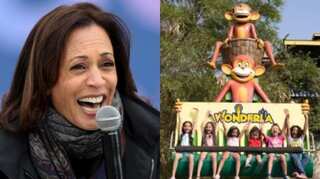 Bengaluru: Amusement park offers free entry to all 'Kamala' to celebrate Harris' win