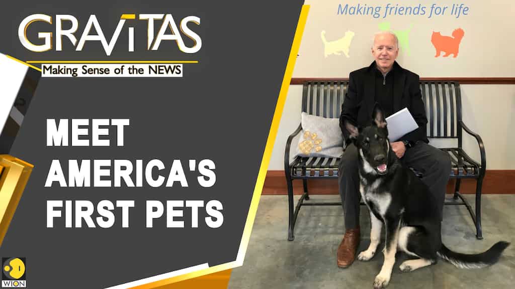 Gravitas: Meet America's first pets