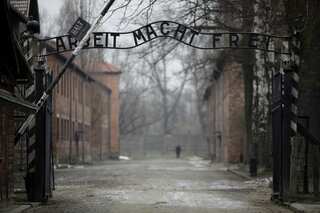 X removes Holocaust-denying post three days after Auschwitz Museum complaint
