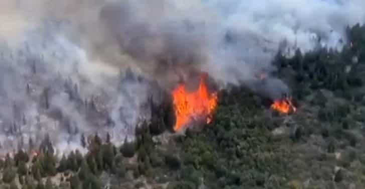 Argentina: Fire destroys 11,000 hectares of forest water