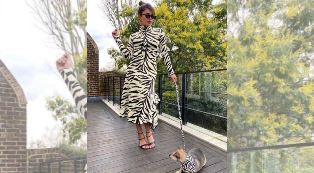Priyanka Chopra twins with her cub in 'white tiger' style