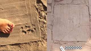1,500-year-old house with ancient paw marks of dogs found in Turkey