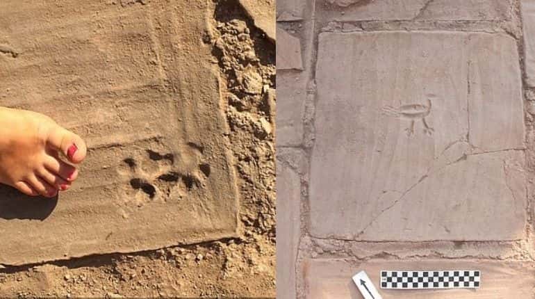 1,500-year-old house with ancient paw marks of dogs found in Turkey