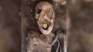Egyptian mummies with golden tongues discovered near Alexandria