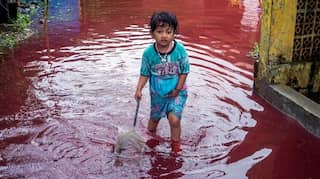 Indonesian village turns red as floods hit batik-manufacturing hub