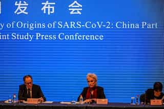 Coronavirus animal source not yet identified, says WHO mission in Wuhan