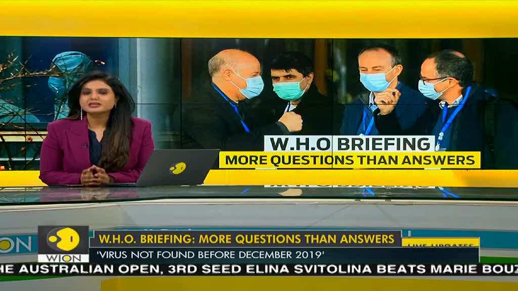 'Direct jump of virus from bats to humans unlikely', says W.H.O team