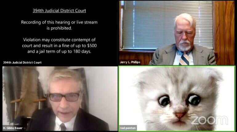 'I am not a cat': Lawyer shows up as kitty during Zoom court hearing