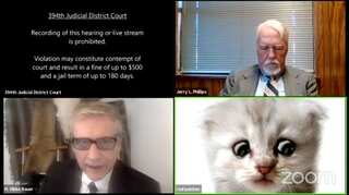 'I am not a cat': Lawyer shows up as kitty during Zoom court hearing