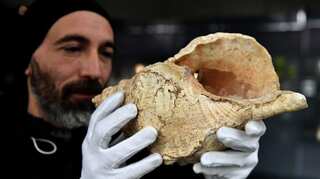 Oldest shell horn played for first time after 17,000 years