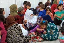 12.4 mln people food insecure in war-torn Syria: WFP