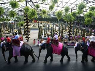 Couples in Thailand tie the knot on elephants on Valentine's Day