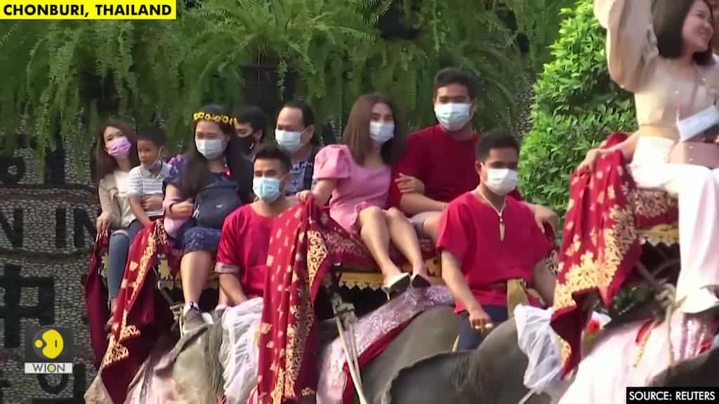 Couples in Thailand tie the knot on elephants on Valentine's Day