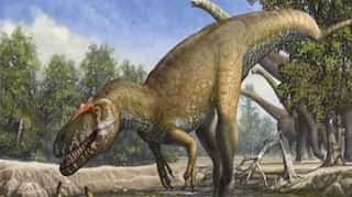 A long rainy spell induced by volcanism helped dinosaurs become huge