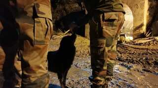 'Blackie' is waiting for his caretakers trapped inside tunnel in Uttarakhand