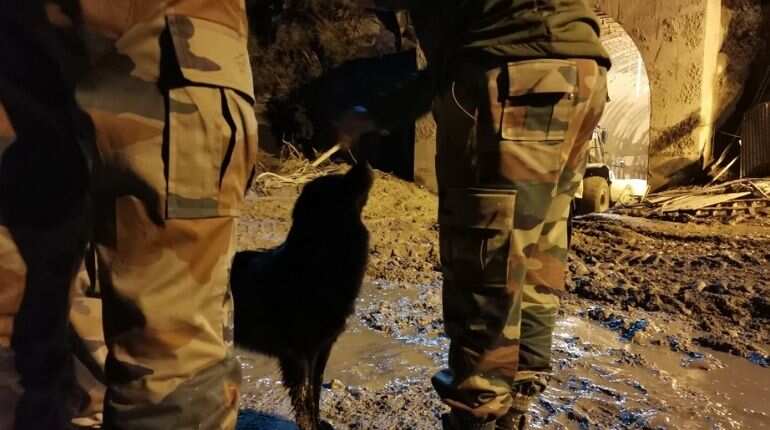 'Blackie' is waiting for his caretakers trapped inside tunnel in Uttarakhand