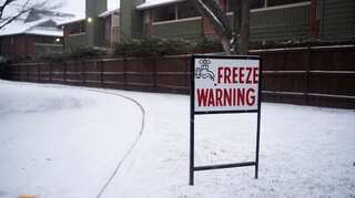Extreme cold killed Texans in their bedrooms, vehicles and backyards