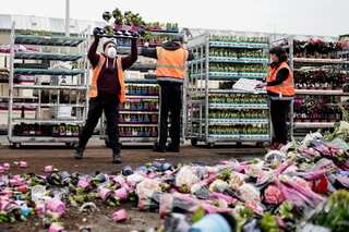 Coronavirus curfew row: Dutch appeals court suspends lower court's order
