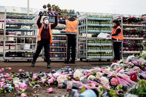 Coronavirus curfew row: Dutch appeals court suspends lower court's order