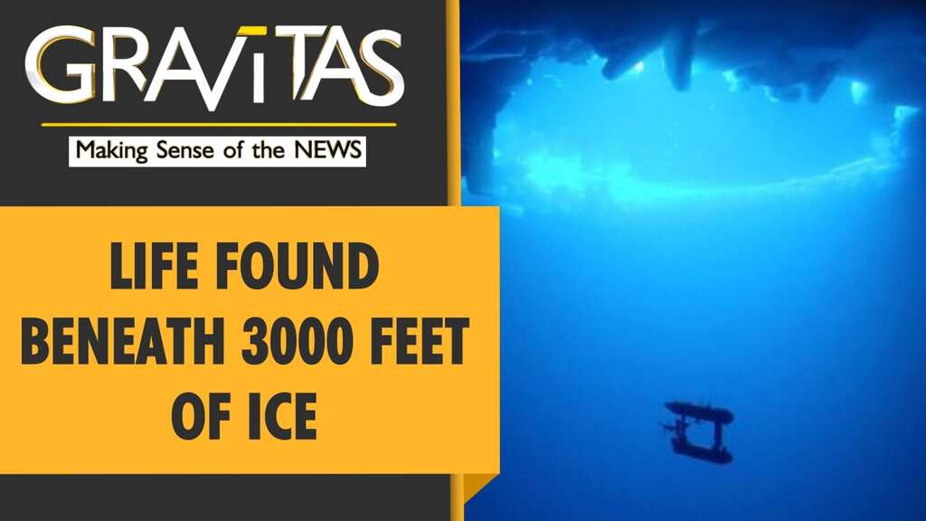 Gravitas: An 'accidental' discovery of life in Antarctica