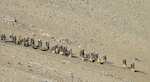 India, China military commanders begin 14th round of talks over eastern Ladakh