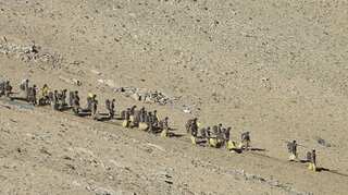 India, China military commanders begin 14th round of talks over eastern Ladakh