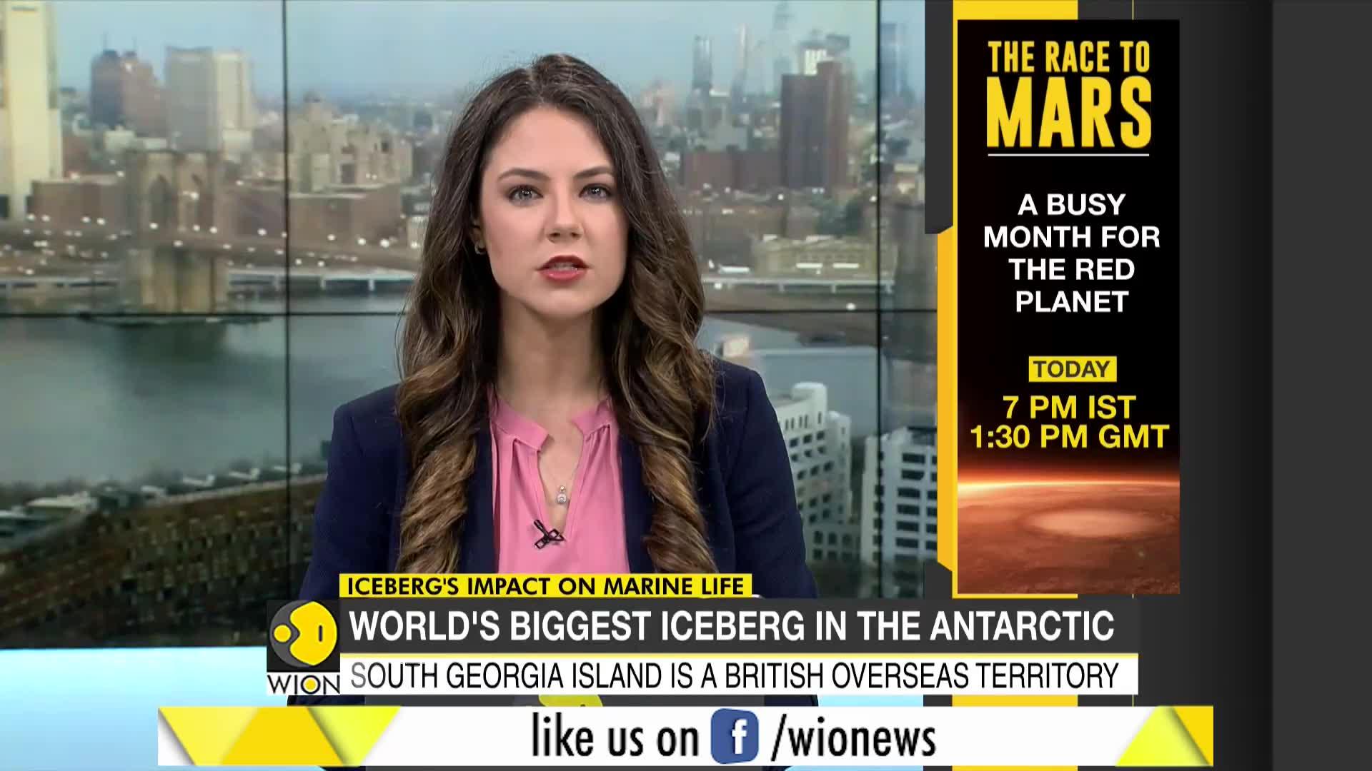WionNews Video