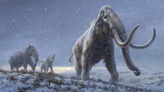 Million-year-old mammoths teeth reveal world's oldest DNA ever sequenced