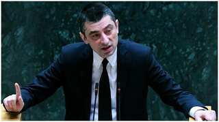 Georgia PM resigns over plans to arrest opposition leader