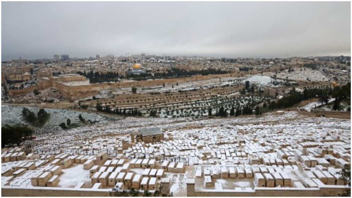 Snow everywhere