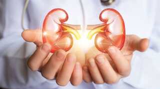 Explainer: Experts tell why kidney stone cases rise among young people due to heatwave