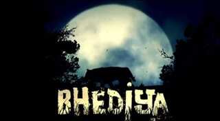 It's a wrap for Varun Dhawan, Kriti Sanon-starrer 'Bhediya'