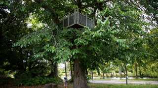 10 years after Christchurch quake, a hush where 8,000 homes once stood
