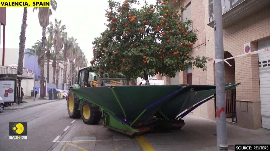 Fruit-shaking tractor in Spain gets the internet talking