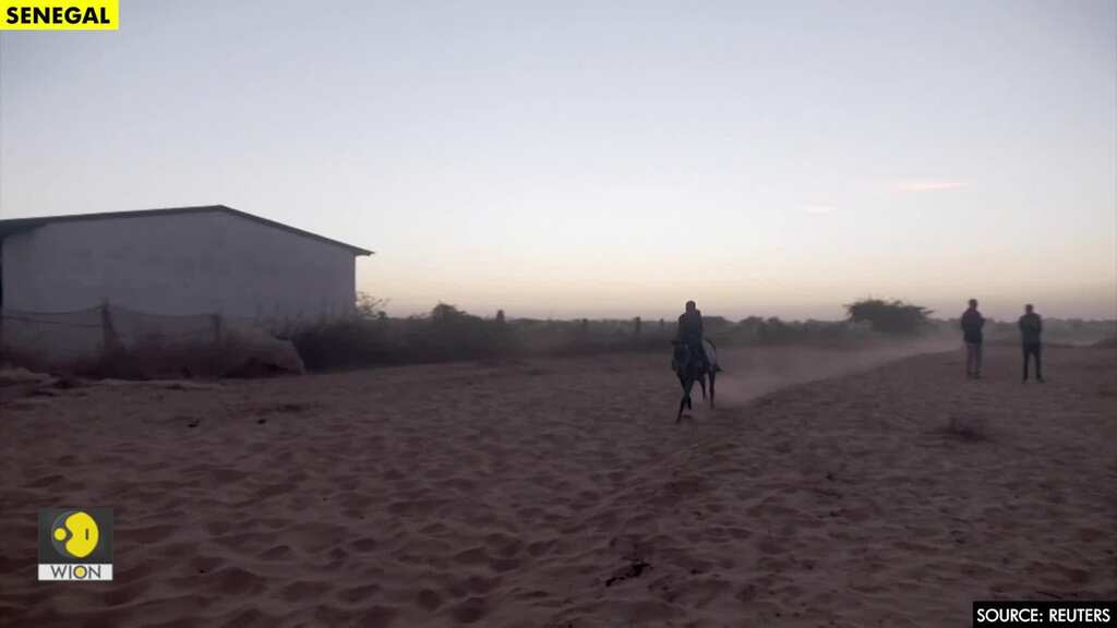 Senegal’s savannah jockey dreams of international glory