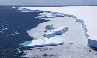 Melting of Antarctic ice sheet could raise sea levels by 20%, new study finds