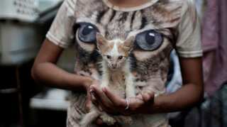 Cuba approves animal welfare law after civil society pressure
