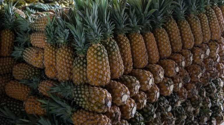 After Chinese import ban, US, Canada hail Taiwan's 'freedom pineapples'