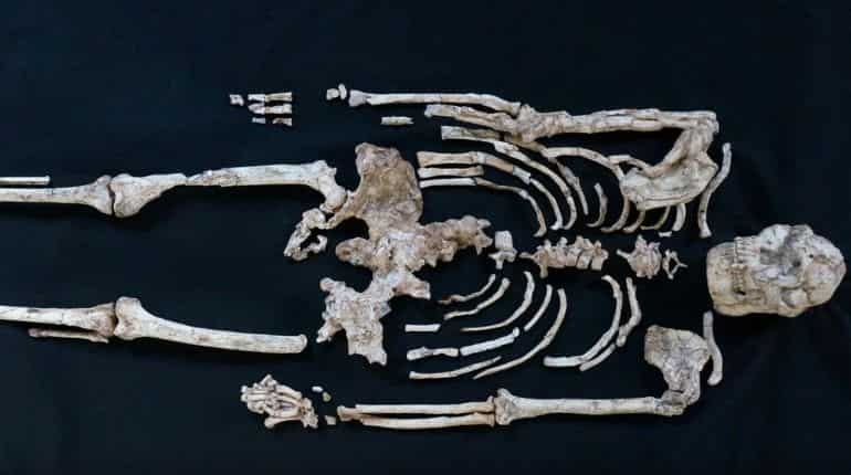 'Little Foot' fossil's elaborate study sheds light on human origins 