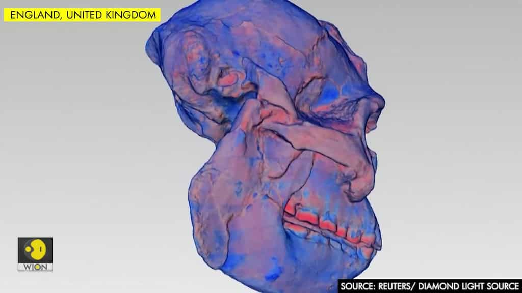 "Little Foot" fossil scans shed new light on early humans