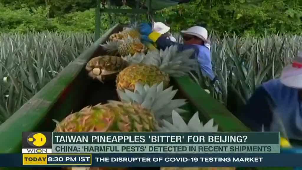 China bans import of Taiwan pineapples