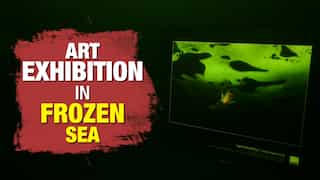 Watch | Art show underwater: Wear a diving suit to witness this exhibition in frozen sea