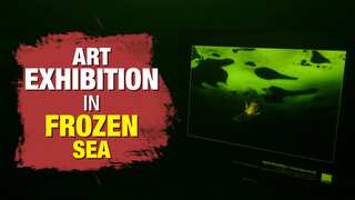 Watch | Art show underwater: Wear a diving suit to witness this exhibition in frozen sea