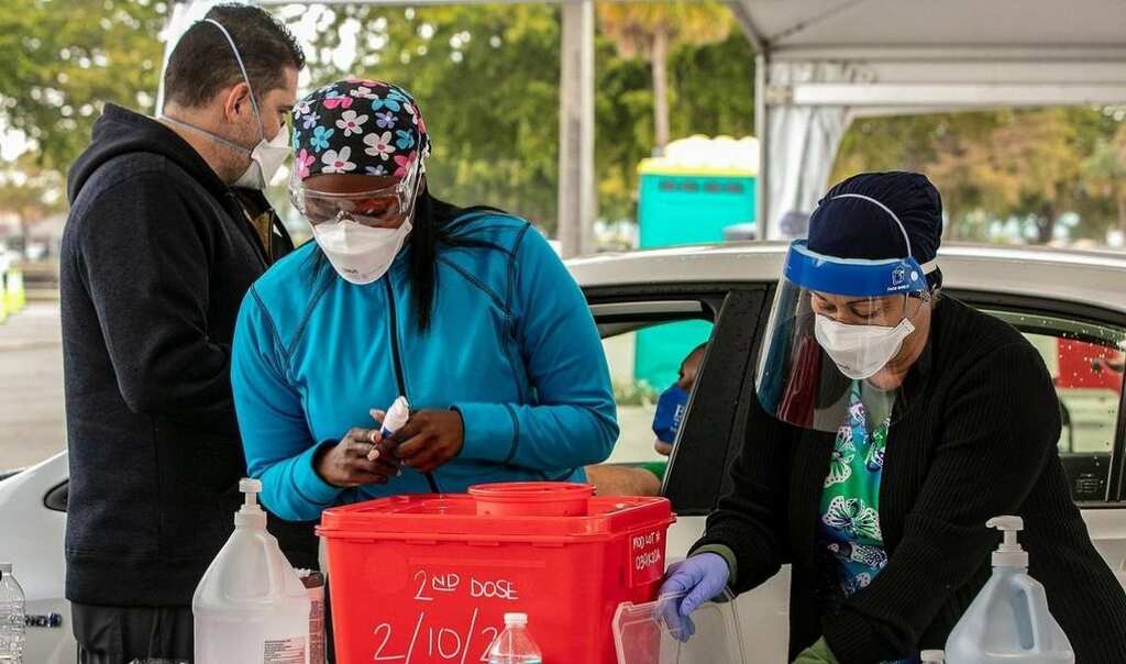 9 great apes get COVID-19 vaccinations at San Diego Zoo