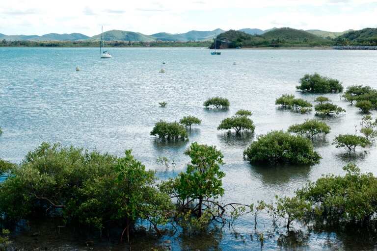 Covid-free New Caledonia record first cases of coronavirus Covid-free New Caledonia record first cases of coronavirus