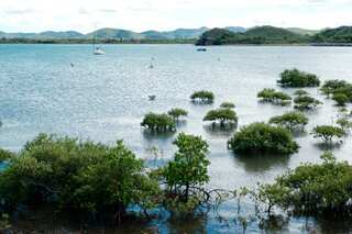 Covid-free New Caledonia record first cases of coronavirus