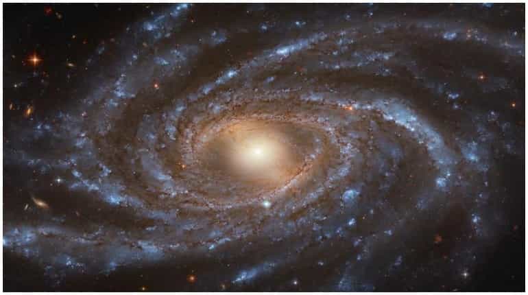 A mysterious star near galactic centre appears to have 'blinked'