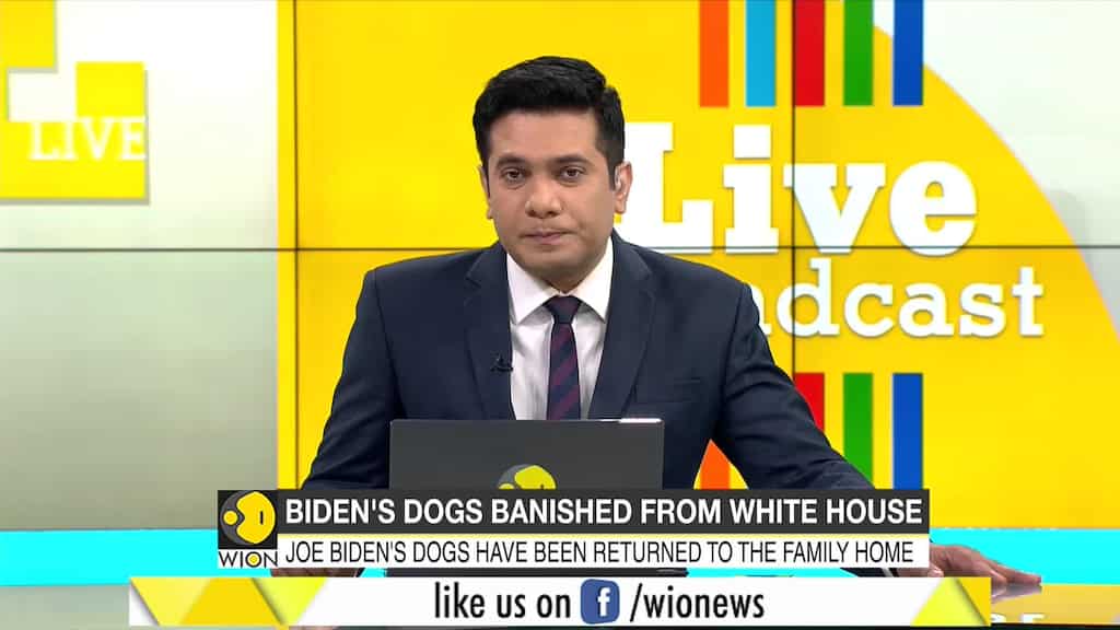 Joe Biden's dogs have been returned to the family home