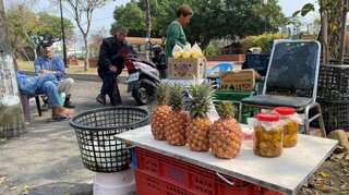 China's ban on Taiwan's pineapples inspires creative dishes