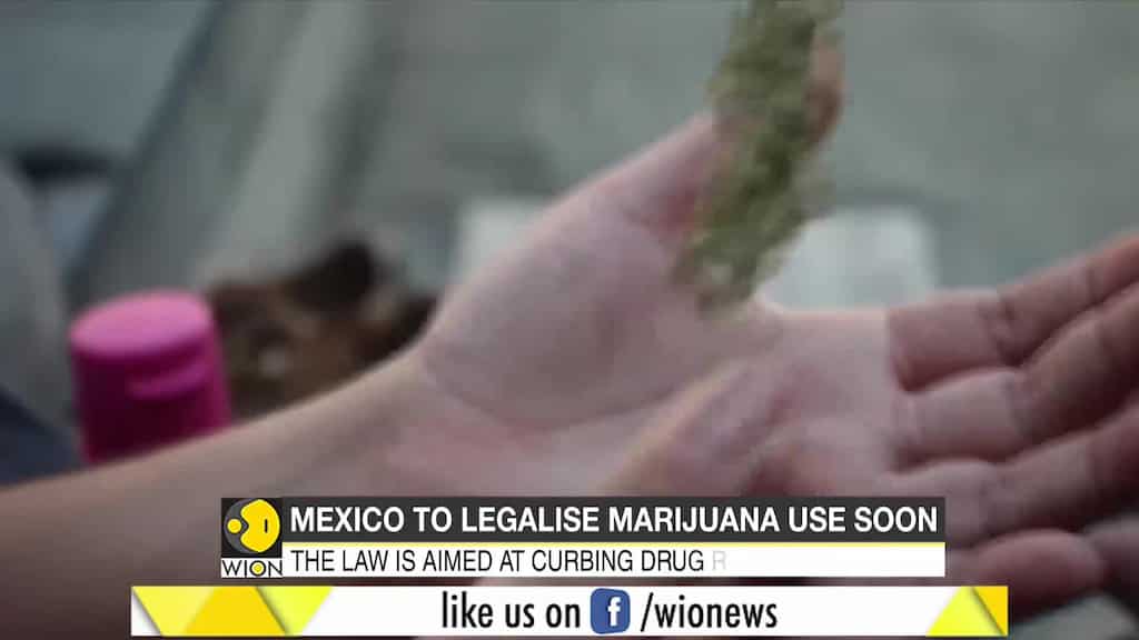 Mexico to legalise Marijuana use soon